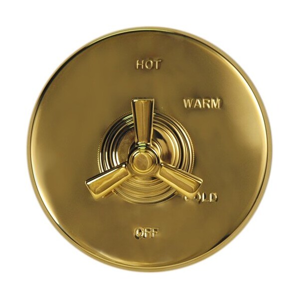 Newport Brass Lever Hdl Asm in Forever Brass (Pvd) 2-548/01 - main